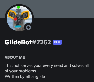 profile of my discord bot